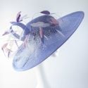 230131 Bluebell sidesweep with veiling 